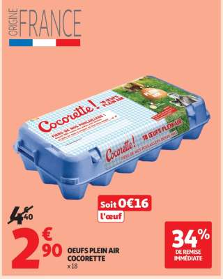 OEUFS PLEIN AIR COCORETTE X18