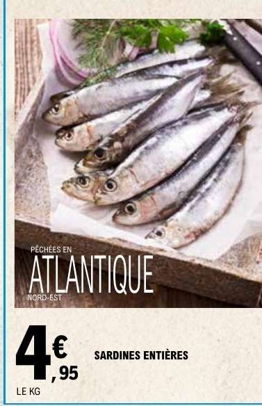 SARDINES ENTIÈRES
