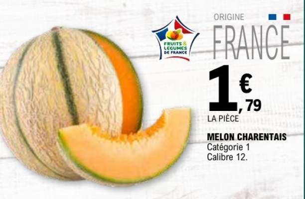 MELON CHARENTAIS