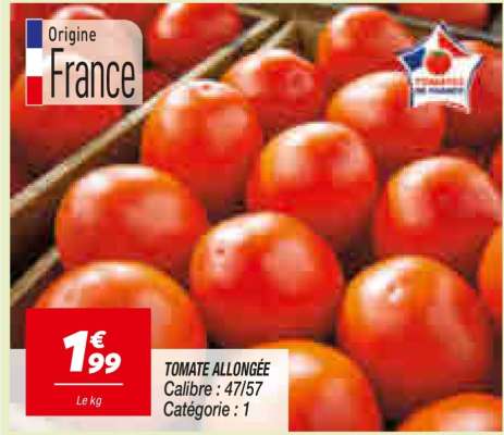 TOMATE ALLONGÉE