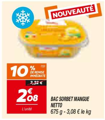 BAC SORBET MANGUE NETTO