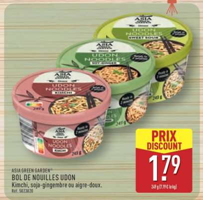 ASIA GREEN GARDEN BOL DE NOUILLES UDON