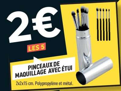 Pinceaux de maquillage avec étui