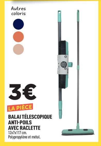 BALAI TÉLESCOPIQUE ANTI-POILS AVEC RACLETTE