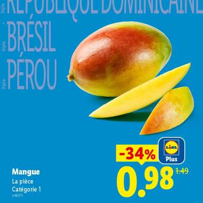 Mangue