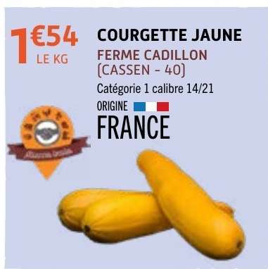 COURGETTE JAUNE