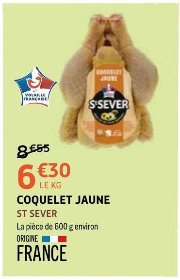 Coquelet Jaune