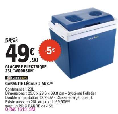 GLACIERE ELECTRIQUE 23L WOODSUN