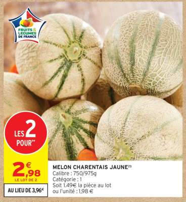 MELON CHARENTAIS JAUNE