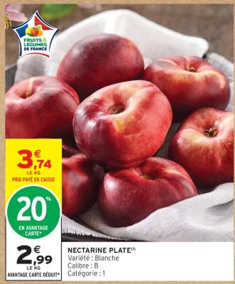 NECTARINE PLATE