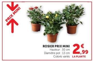 ROSIER PRIX MINI