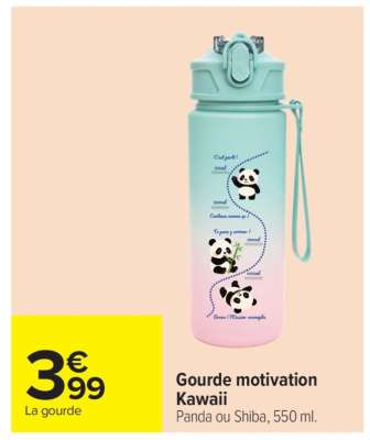 Gourde motivation Kawaii