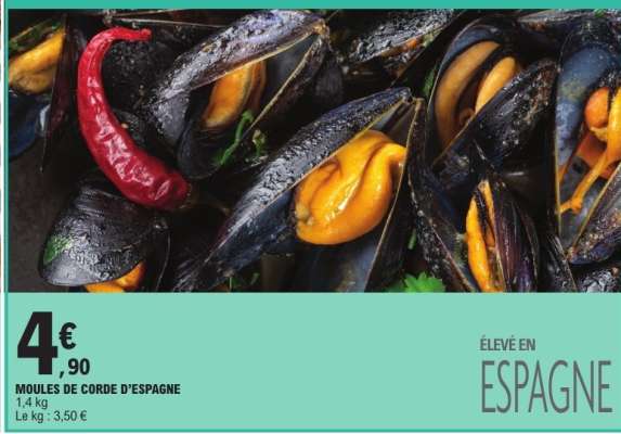 MOULES DE CORDE D'ESPAGNE