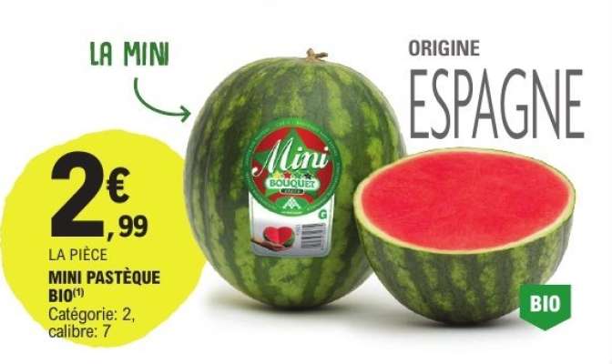 MINI PASTEQUE BIO