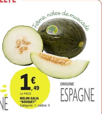 MELON GALIA "BOUQUET"