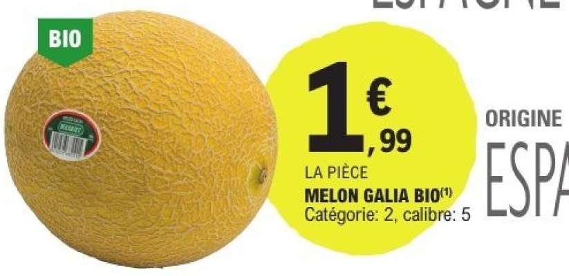 MELON GALIA BIO