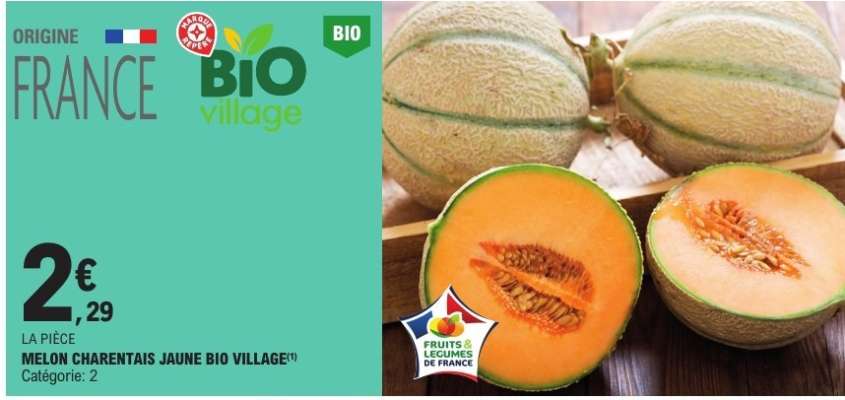 MELON CHARENTAIS JAUNE BIO VILLAGE