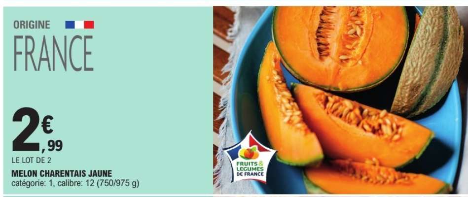 MELON CHARENTAIS JAUNE