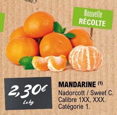 Mandarine