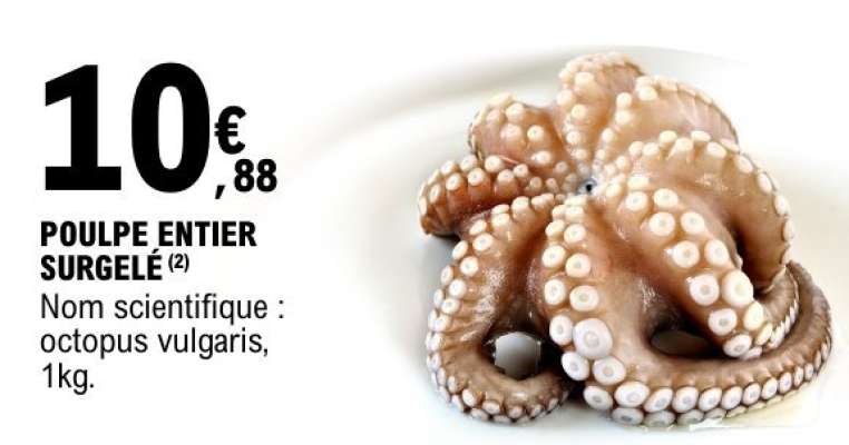 POULPE ENTIER SURGELÉ