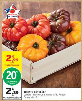 TOMATE COTELEE