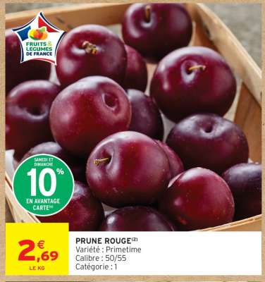 PRUNE ROUGE