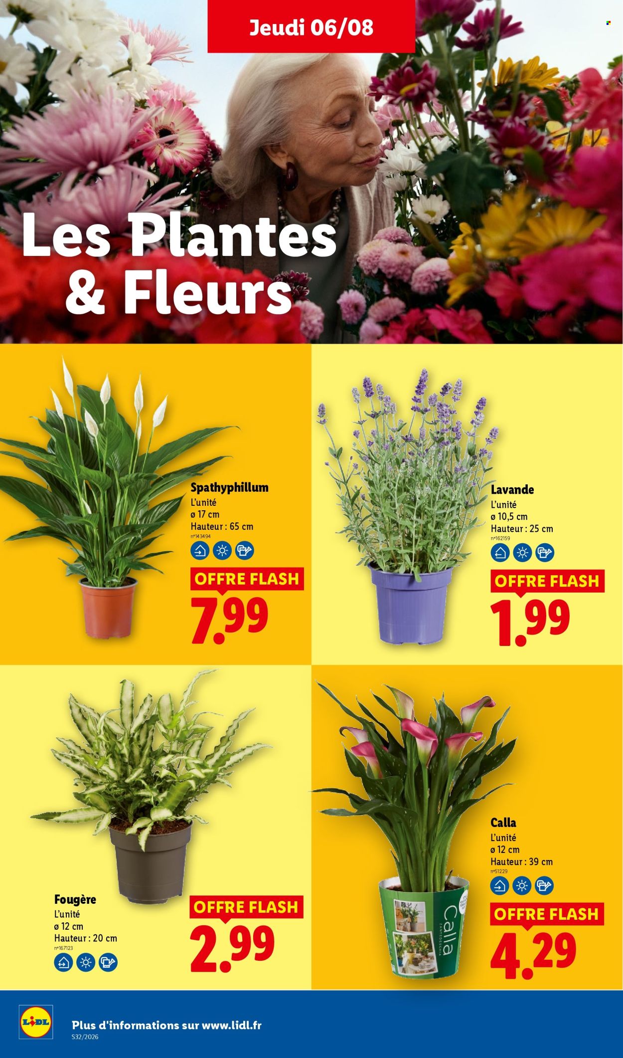 Catalogue Lidl - 06/08/2026 - 12/08/2026. Page 32