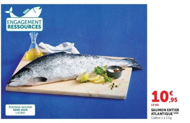 Saumon entier Atlantique