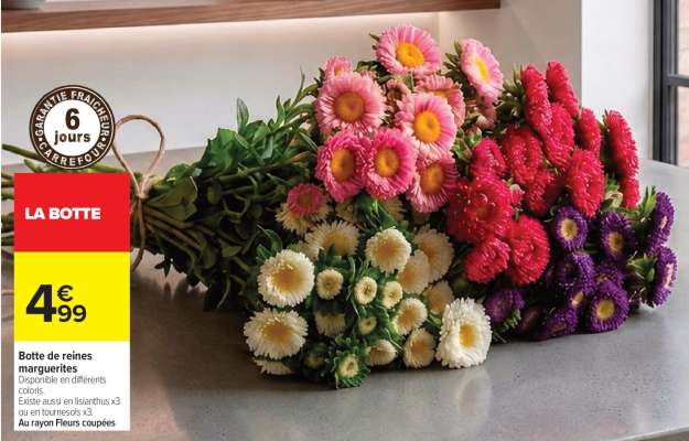 Botte de reines marguerites