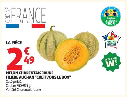MELON CHARENTAIS JAUNE