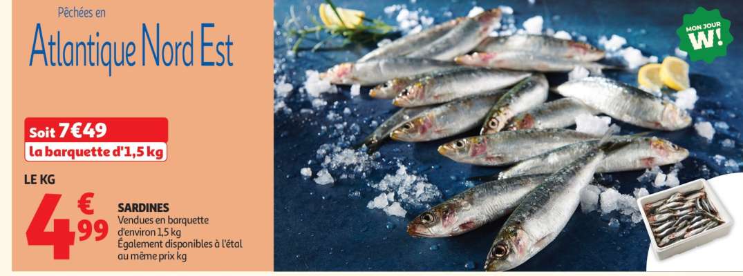 Sardines