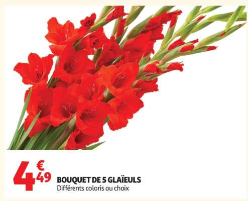 Bouquet de 5 glaïeuls