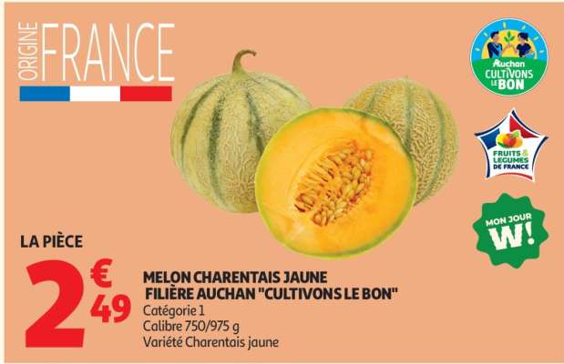 MELON CHARENTAIS JAUNE