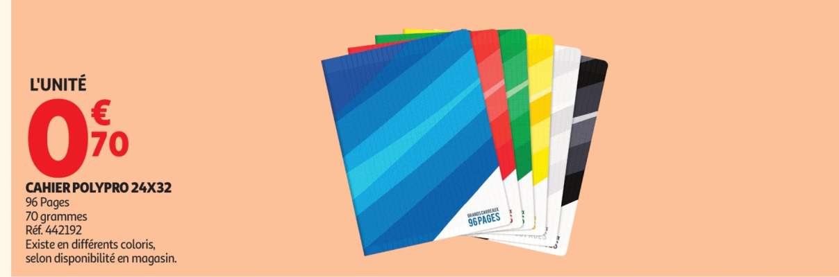 CAHIER POLYPRO 24X32