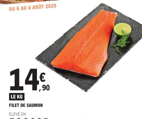 FILET DE SAUMON