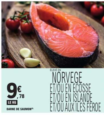 DARNE DE SAUMON