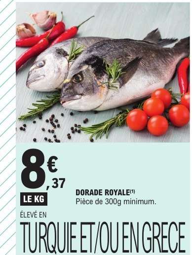 DORADE ROYALE