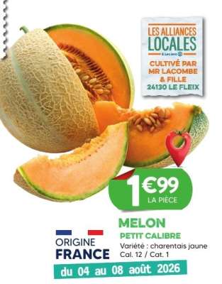 MELON PETIT CALIBRE