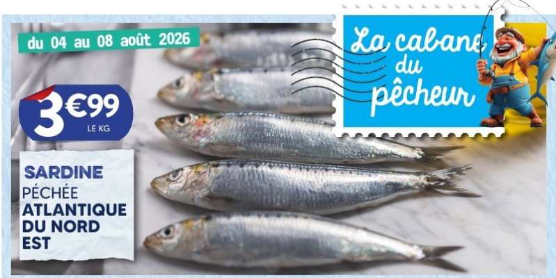 SARDINE