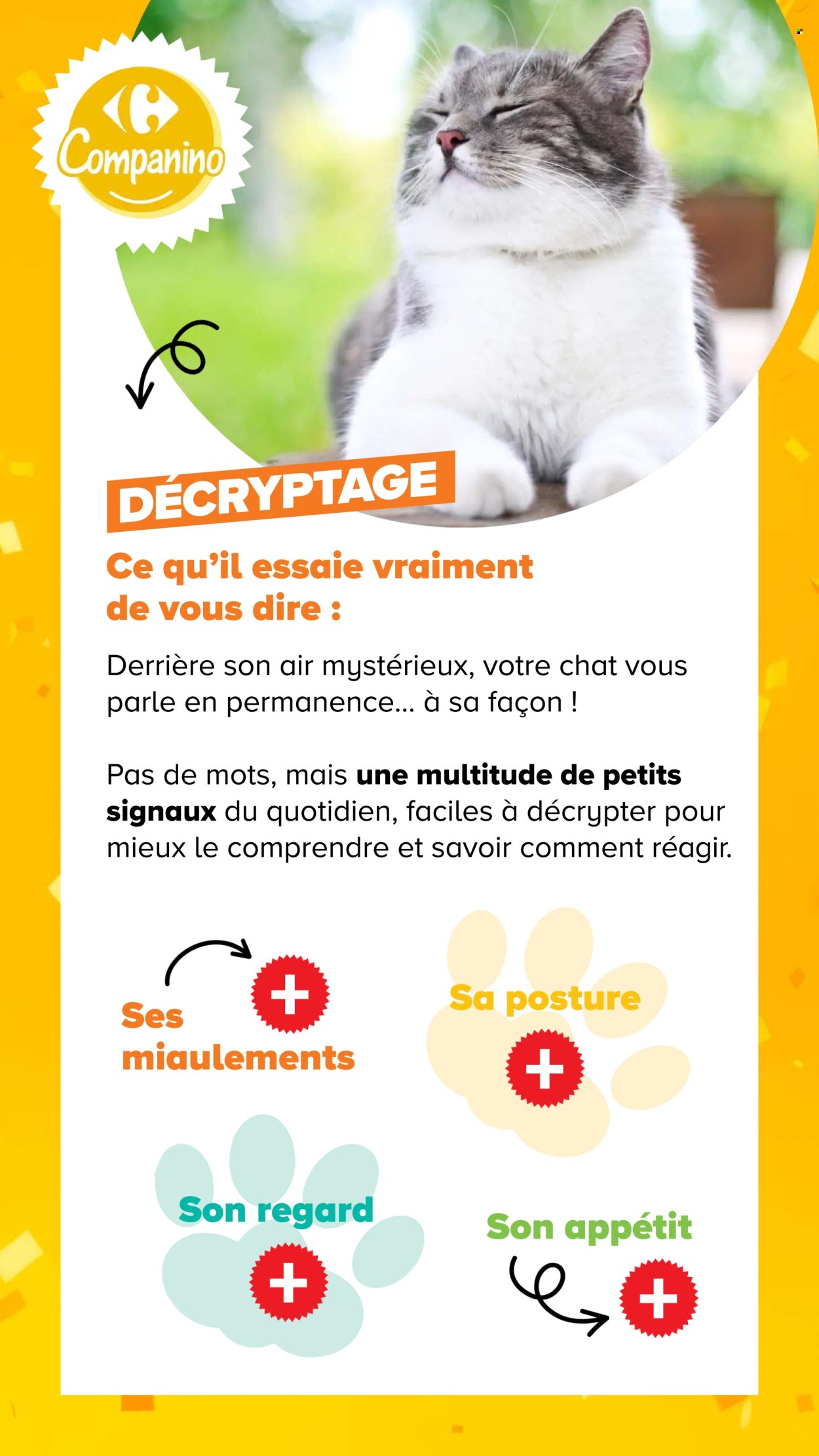 Catalogue Carrefour - 04/08/2026 - 07/09/2026. Page 11