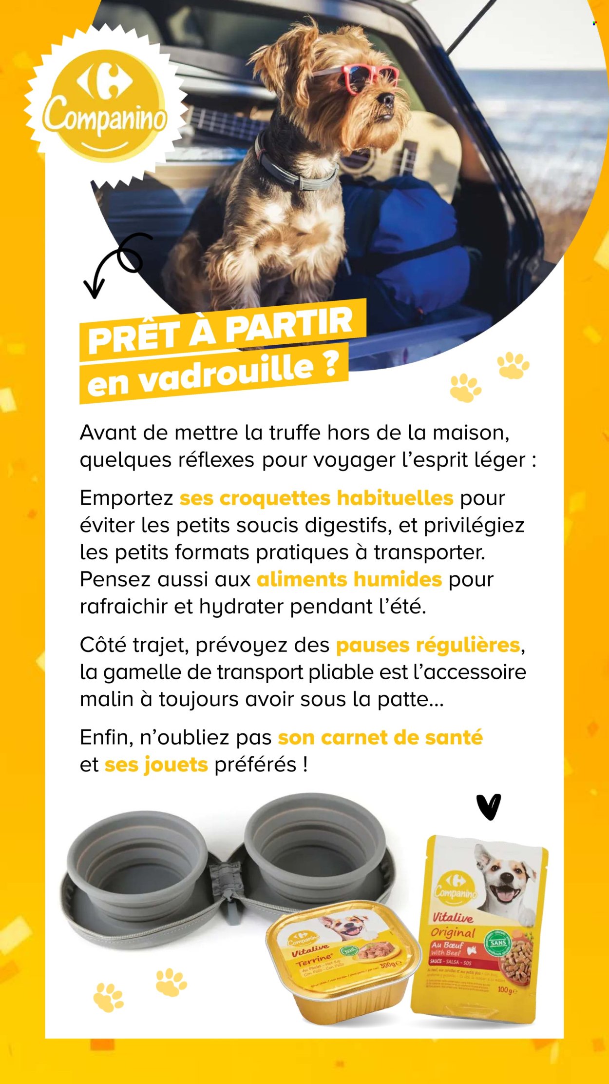 Catalogue Carrefour - 04/08/2026 - 07/09/2026. Page 16