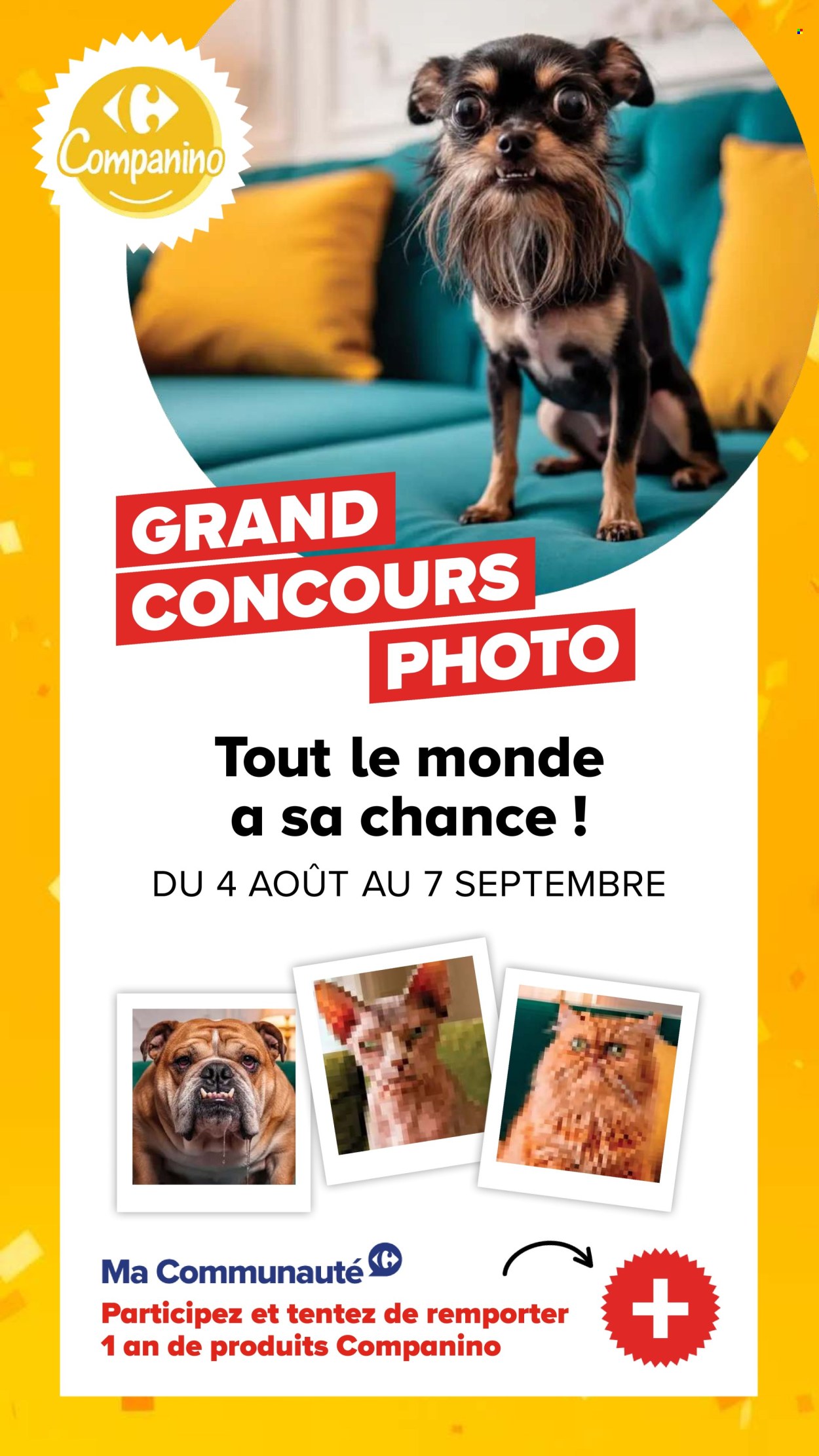 Catalogue Carrefour - 04/08/2026 - 07/09/2026. Page 19