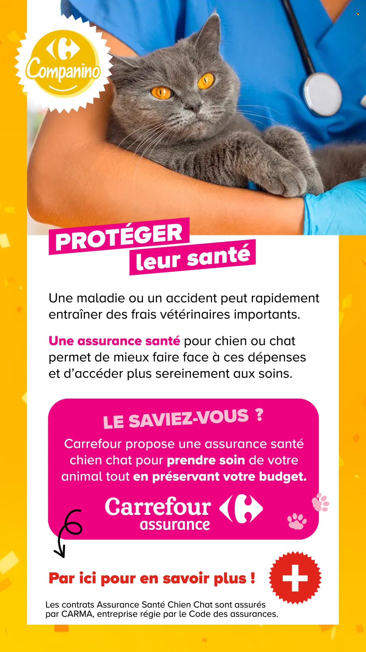 Catalogue Carrefour - 04/08/2026 - 07/09/2026. Page 20