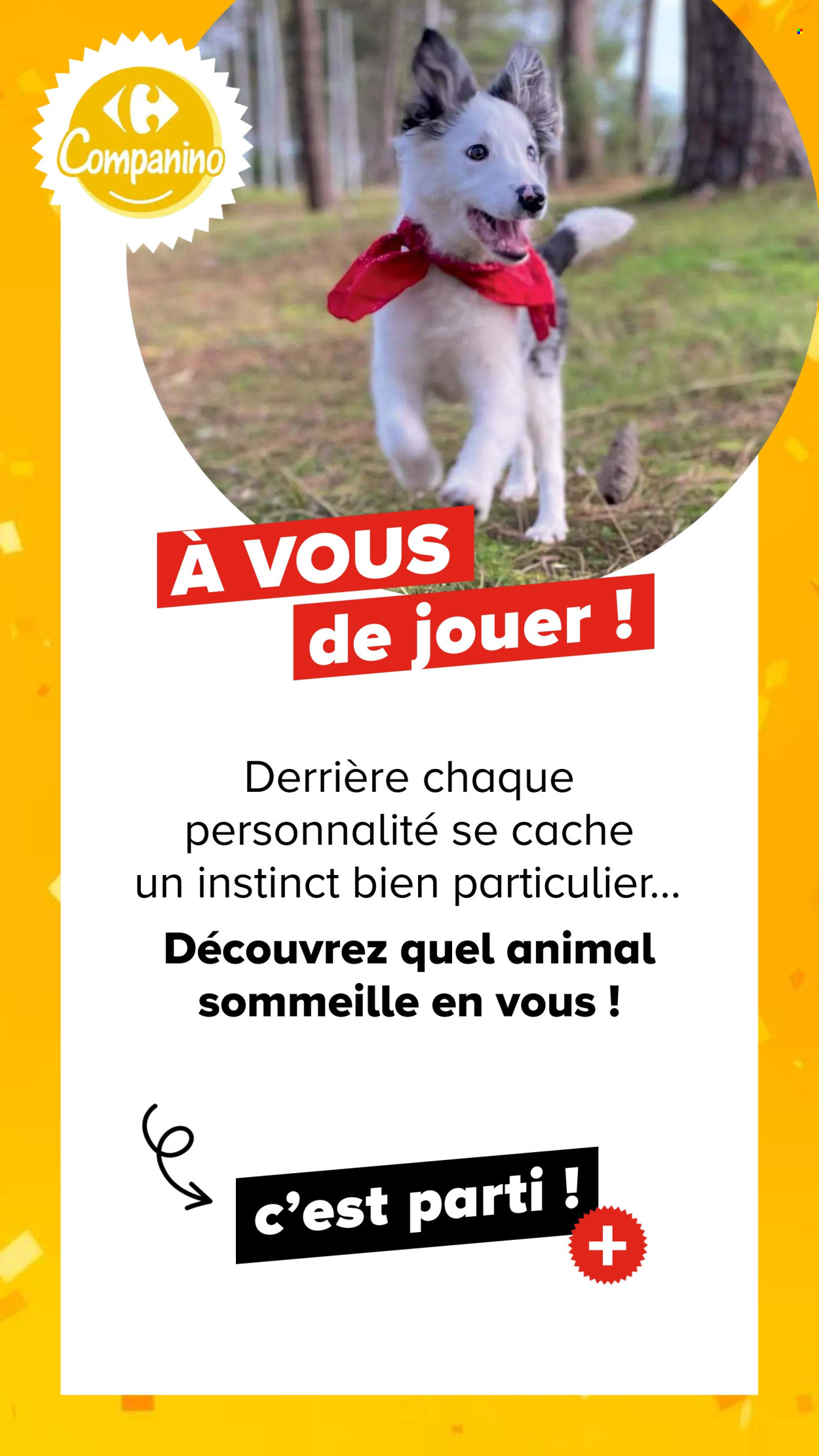 Catalogue Carrefour - 04/08/2026 - 07/09/2026. Page 21