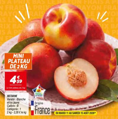MINI PLATEAU DE 2 KG