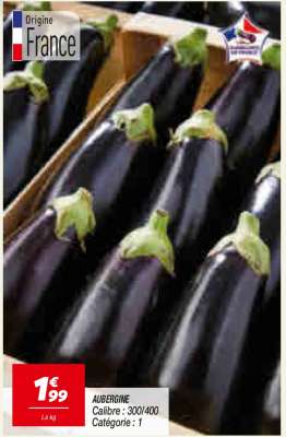 AUBERGINE