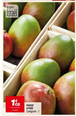 MANGUE AFFINÉE