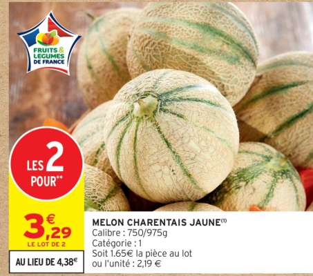 MELON CHARENTAIS JAUNE