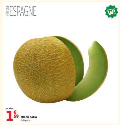 Melon Galia