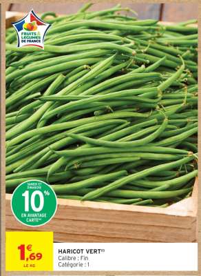 HARICOT VERT